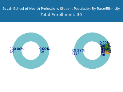 Sovah School of Health Professions 2025 Student Population by Gender and Race chart