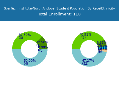 Spa Tech Institute-North Andover 2025 Student Population by Gender and Race chart