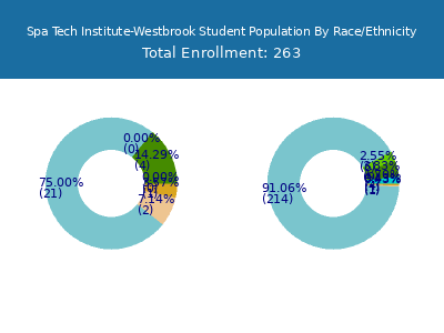 Spa Tech Institute-Westbrook 2025 Student Population by Gender and Race chart
