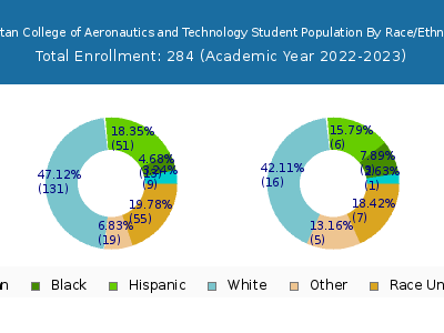 Spartan College of Aeronautics and Technology 2023 Student Population by Gender and Race chart