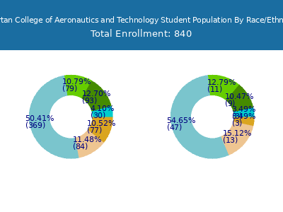 Spartan College of Aeronautics and Technology 2025 Student Population by Gender and Race chart