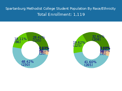 Spartanburg Methodist College 2025 Student Population by Gender and Race chart