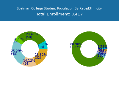 Spelman College 2025 Student Population by Gender and Race chart