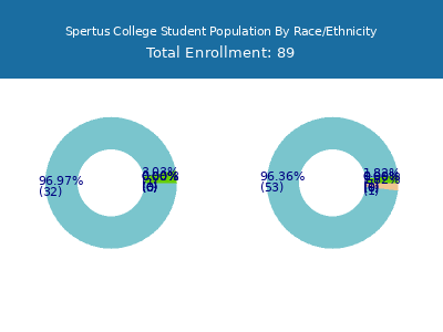 Spertus College 2025 Student Population by Gender and Race chart