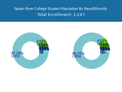 Spoon River College 2025 Student Population by Gender and Race chart