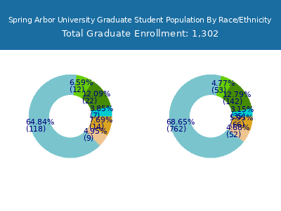 Spring Arbor University 2025 Graduate Enrollment by Gender and Race chart