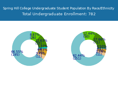 Spring Hill College 2025 Undergraduate Enrollment by Gender and Race chart
