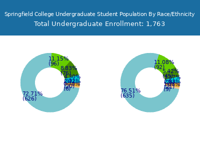 Springfield College 2025 Undergraduate Enrollment by Gender and Race chart