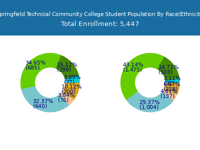 Springfield Technical Community College 2025 Student Population by Gender and Race chart