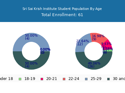 Sri Sai Krish Institute 2024 Student Population Age Diversity Pie chart