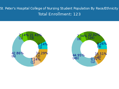 St. Peter's Hospital College of Nursing 2025 Student Population by Gender and Race chart