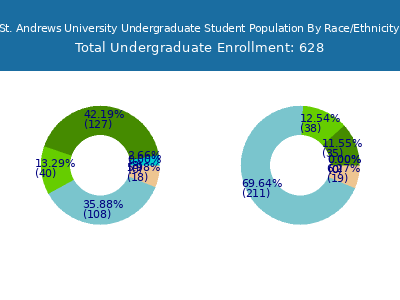 St. Andrews University 2025 Undergraduate Enrollment by Gender and Race chart