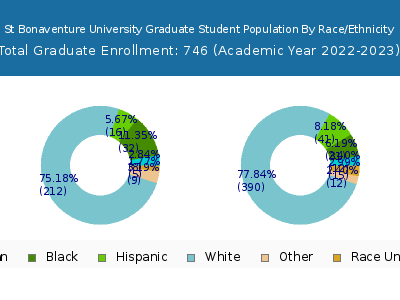 St Bonaventure University 2023 Graduate Enrollment by Gender and Race chart