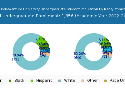 St Bonaventure University 2023 Undergraduate Enrollment by Gender and Race chart