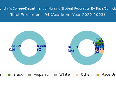 St. John's College-Department of Nursing 2023 Student Population by Gender and Race chart