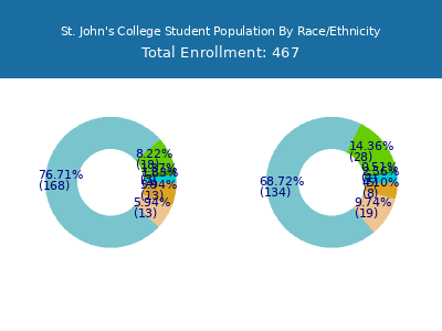 St. John's College 2025 Student Population by Gender and Race chart