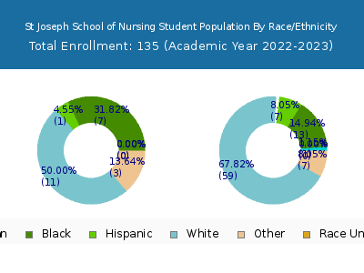 St Joseph School of Nursing 2023 Student Population by Gender and Race chart