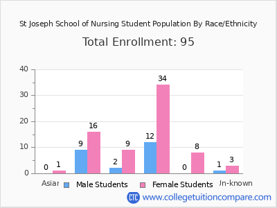 St Joseph School of Nursing 2025 Student Population by Gender and Race chart