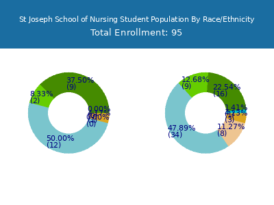 St Joseph School of Nursing 2025 Student Population by Gender and Race chart