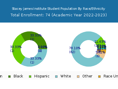 Stacey James Institute 2023 Student Population by Gender and Race chart