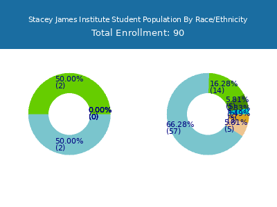 Stacey James Institute 2025 Student Population by Gender and Race chart