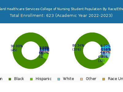 Standard Healthcare Services-College of Nursing 2023 Student Population by Gender and Race chart