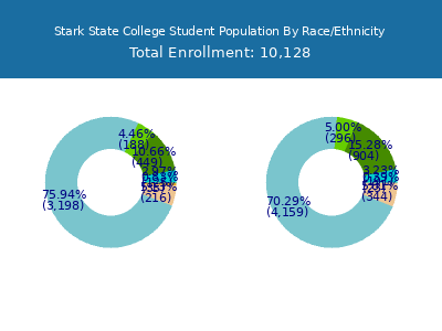 Stark State College 2025 Student Population by Gender and Race chart
