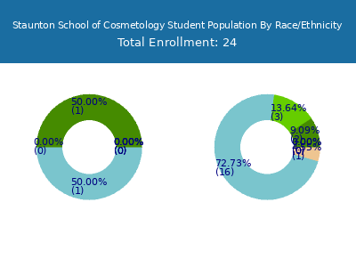 Staunton School of Cosmetology 2025 Student Population by Gender and Race chart