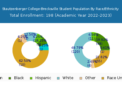 Stautzenberger College-Brecksville 2023 Student Population by Gender and Race chart