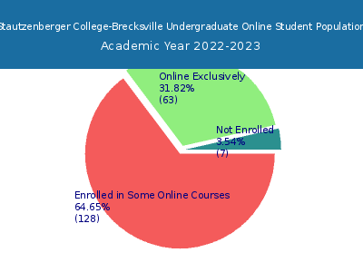 Stautzenberger College-Brecksville 2023 Online Student Population chart