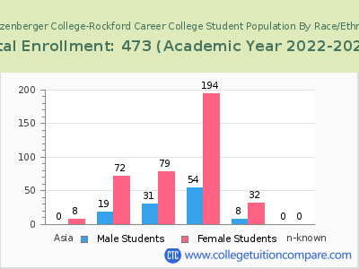 Stautzenberger College-Rockford Career College 2023 Student Population by Gender and Race chart