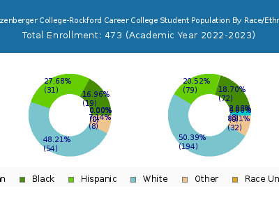 Stautzenberger College-Rockford Career College 2023 Student Population by Gender and Race chart