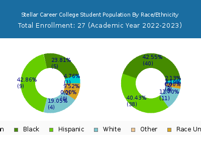 Stellar Career College 2023 Student Population by Gender and Race chart