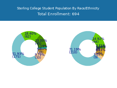 Sterling College 2025 Student Population by Gender and Race chart