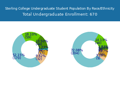 Sterling College 2025 Undergraduate Enrollment by Gender and Race chart