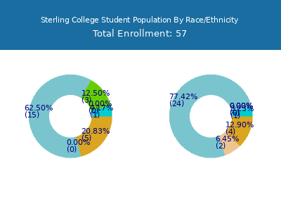 Sterling College 2025 Student Population by Gender and Race chart