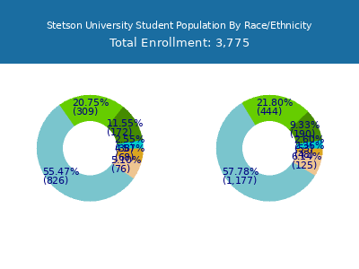 Stetson University 2025 Student Population by Gender and Race chart