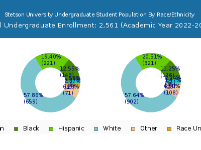Stetson University 2023 Undergraduate Enrollment by Gender and Race chart