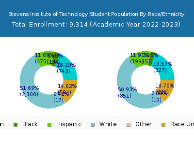 Stevens Institute of Technology 2023 Student Population by Gender and Race chart