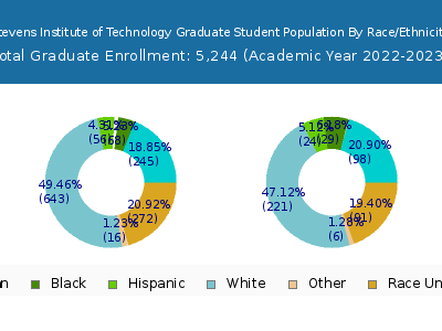Stevens Institute of Technology 2023 Graduate Enrollment by Gender and Race chart