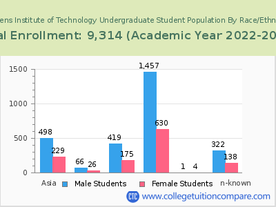 Stevens Institute of Technology 2023 Undergraduate Enrollment by Gender and Race chart