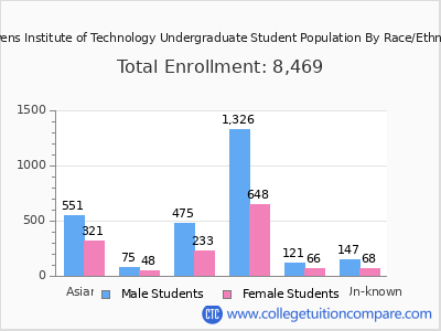 Stevens Institute of Technology 2025 Undergraduate Enrollment by Gender and Race chart