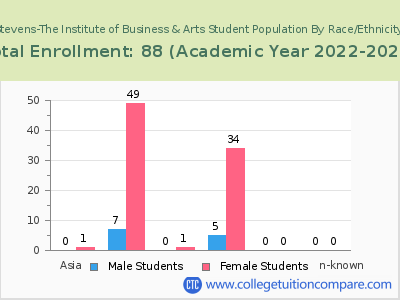 Stevens-The Institute of Business & Arts 2023 Student Population by Gender and Race chart