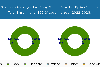 Stevensons Academy of Hair Design 2023 Student Population by Gender and Race chart