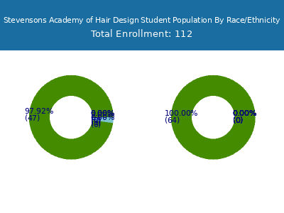 Stevensons Academy of Hair Design 2025 Student Population by Gender and Race chart