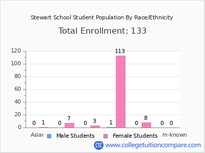 Stewart School 2025 Student Population by Gender and Race chart