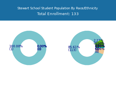 Stewart School 2025 Student Population by Gender and Race chart