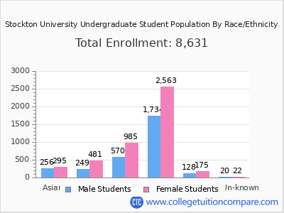 Stockton University 2025 Undergraduate Enrollment by Gender and Race chart