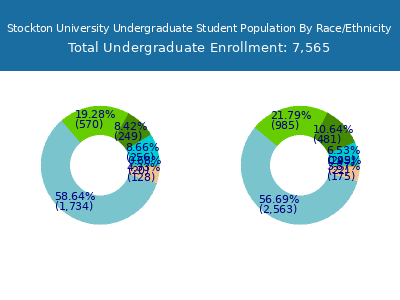 Stockton University 2025 Undergraduate Enrollment by Gender and Race chart