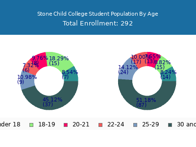 Stone Child College 2024 Student Population Age Diversity Pie chart
